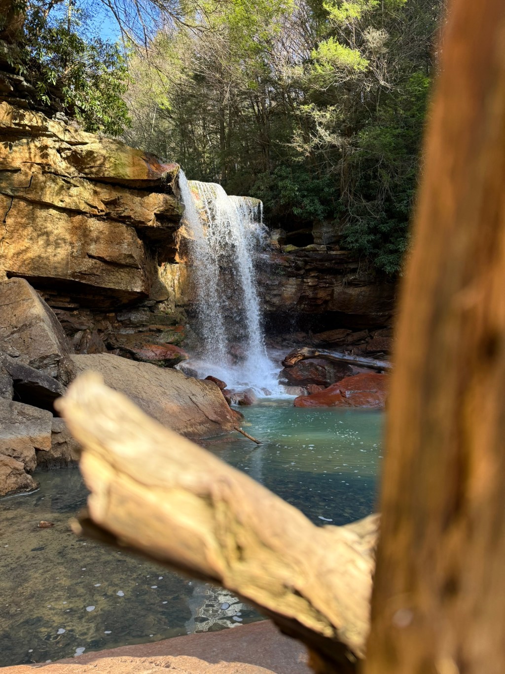 Allegheny Discovery Route in the Fall